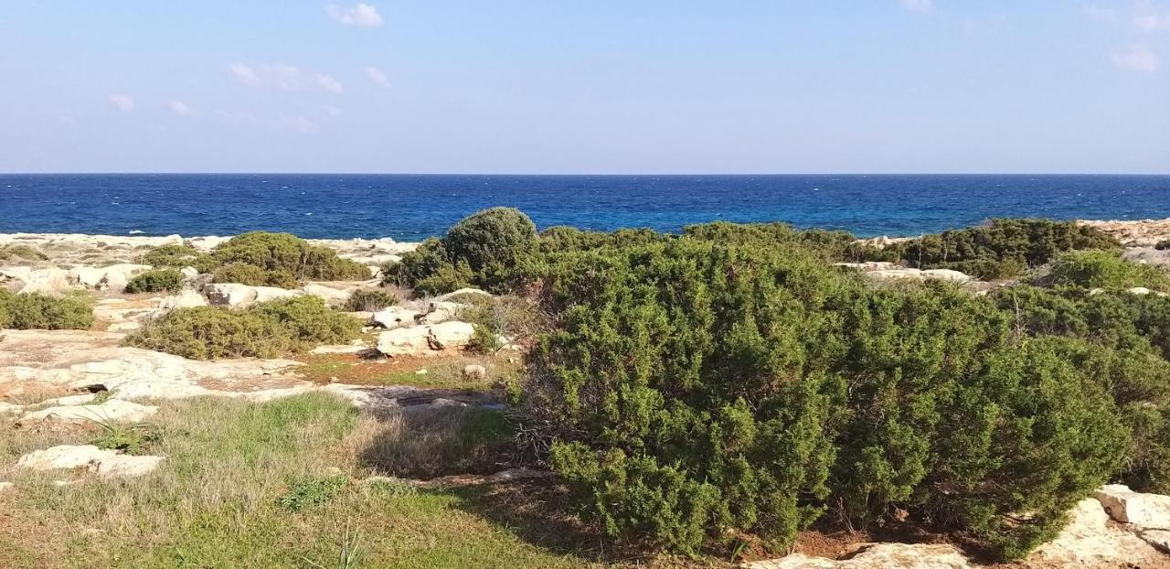 פרוטאראס Mosaic Villa By The Sea מראה חיצוני תמונה