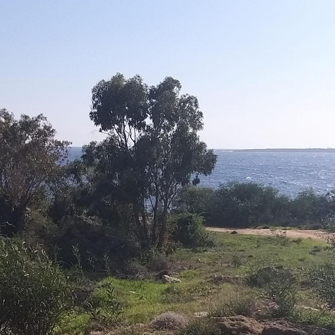 פרוטאראס Mosaic Villa By The Sea מראה חיצוני תמונה